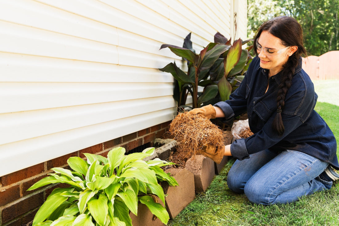 Stop Bagging Leaves: How to Turn Fall Leaves Into Free Mulch