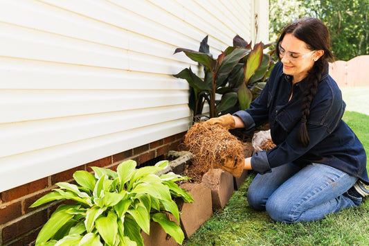 Stop Bagging Leaves: How to Turn Fall Leaves Into Free Mulch