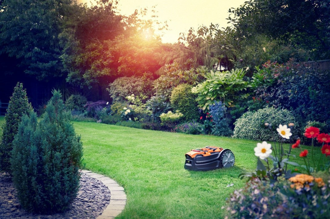 Do Robot Lawn Mowers Work?