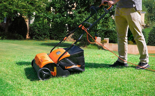 Dethatching vs Scarifying: What You Need to Know