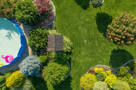Ultimate Guide to Greener Grass