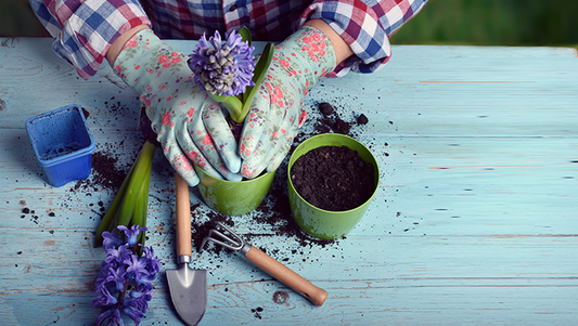 Easy DIY Landscaping