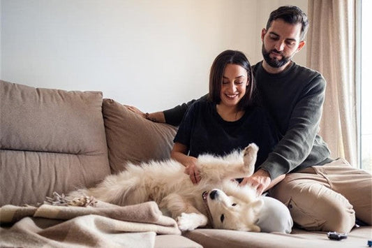 Pet Hair, Mud & Mayhem: Kid- and Pet-Proofing with Vacmaster