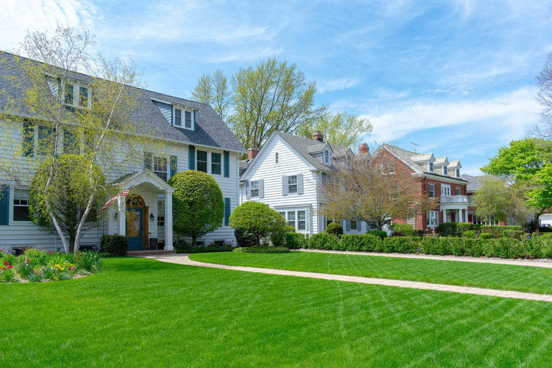 Summer Lawn Care: Mastering the Season with LawnMaster®