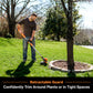 LawnMaster 24V MAX 12” Cordless Grass Trimmer, CLGT2412S