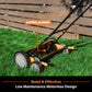 LawnMaster 20-Inch 5-Blade Push Reel Mower, LMRM2001