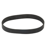 Vacuum Belt