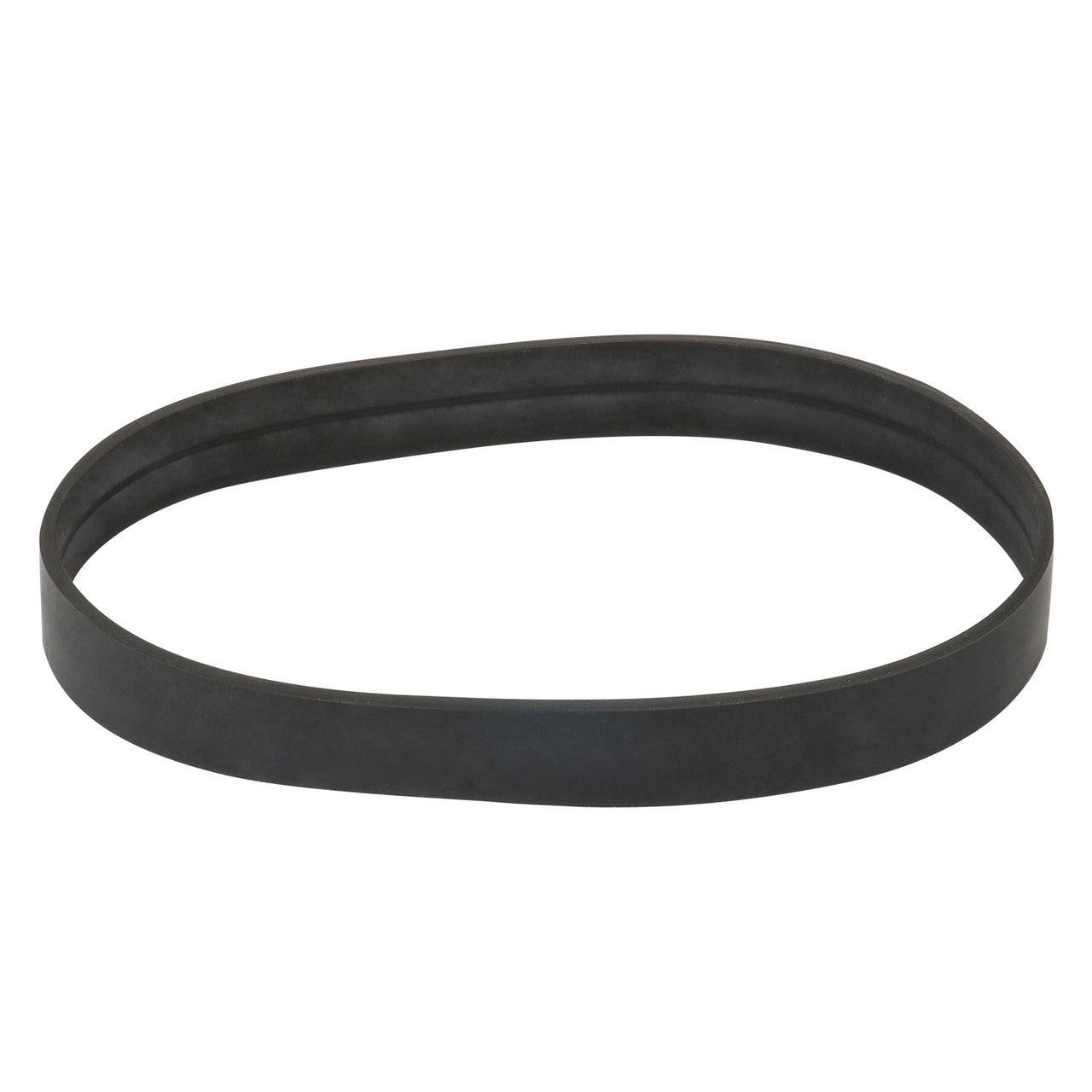 Vacuum Belt