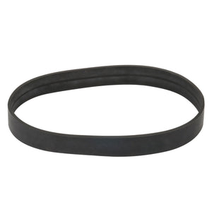 Vacuum Belt